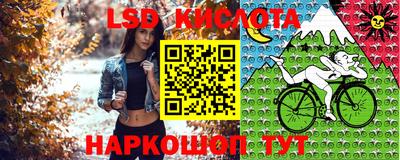 ECSTASY Коммунар