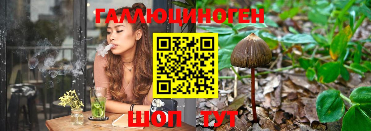 Галлюциногенные грибы Magic Shrooms  Вход с VPN  как найти закладки  Касимов 
