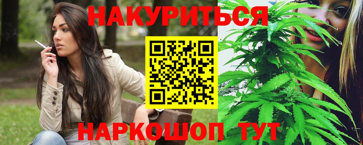 Канабис план Касимов